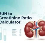 BUN to Creatinine Ratio Calculator